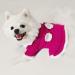 Joytale Dog Sweater - Warm Turtleneck Knitting Clothes for Small Dogs & Cats Cute Flower Design Hot Pink XS - Buy Online on GoSupps.com