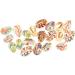 40 Pcs Leopard Earrings for Women Beach Spiral Craft Charms Beads for Bracelets Flower Earrings for 1.9x1.6x1cmx3pcs Colorfulx3pcs - Buy Online on GoSupps.com