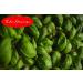 Eder Gew rze - ORGANIC - Basil - 1 kg - Buy Online on GoSupps.com