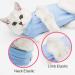 Dotoner Katzenbody f r Nach-OP: Anti-Trolling Katzenshirt f r Hautkrankheiten & Kastration - Blau (M) - Alternative Katzen- und Hundekleidung - Buy Online on GoSupps.com