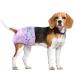 Flying Paws Disposable Dog Diapers Suitable for Dogs and Cats Adjustable Disposable Diapers 10-40 Pack (S-20 Pack) S 20.0