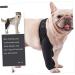Sosoport Dog Leg Cover Dog Acl Brace Dog Sling Dog Leg Brace Comfy Brace Pets Comfortable Rear Bracket S As Shown - Buy Online on GoSupps.com