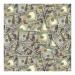 Hydrographics Film Water Transfer Printing Film Hydro Dipping Dip Film Hydrographic Film Linear Meter 100 Bills Money Hydrographics Film