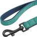 Didog Personalized Leather Dog Collar with Engraved Name Tag - Soft & Padded for Small & Medium Dogs - Custom Green Set (25-30 cm) - Buy Online on GoSupps.com
