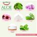 Aloe Sensitive Toothpaste 75ml - Gentle Care for Sensitive Teeth | Shop Now for International Shipping - Buy Online on GoSupps.com