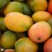 Kyabo 3Lbs Mango Butter - Premium Organic Unrefined Raw Virgin Cold Press Grade A - 100% Pure Non GMO Natural Moisturizer for Skin and Body Care - Perfect for DIY Body Butters, Soap Making, Lotions, and Creams - Buy Online on GoSupps.com