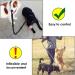 No Tangle 2 Dogs Lead Coupler Half Bungee Dog Leash Splitter For Small Dogs Under 15kg Good Control Easy & Safe Walking - Buy Online on GoSupps.com