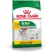 Royal Canin Mini Adult Dog Food 8 + 1 kg Pack of 1 (1 x 9 kg) - Buy Online on GoSupps.com