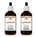Hawaii Pharm Alfalfa Alcohol-Free Liquid Extract Alfalfa (Medicago Sativa) Sprouting Seed Glycerite Natural Herbal Supplement 2x4 oz 8 Fl Oz (Pack of 1)