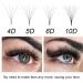 Nagaraku 320pcs Volume Eyelash Extensions - 6D 0.07mm C Curl Premade Fans Narrow Stem 10mm 16 Rows - Shop Internationally! - Buy Online on GoSupps.com