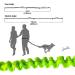 QitinDasen Hands Free Dog Leash Grey Adjustable Waist Belt and Green Dual-Handle Retractable Bungee Leash Jogging Dog Leash with Reflective Stitching - Buy Online on GoSupps.com