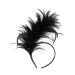 Lurrose 20s Feather Headband - Vintage Black Hairband for Weddings & Gatsby Parties | International Shipping Available - Buy Online on GoSupps.com