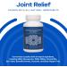 Spirit of Science Joint Relief MSM & Boswellia Powder | Natural Joint Support | Vegan | Made in USA | 30 Servings - Buy Online on GoSupps.com