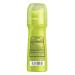 Buy Ban Original Unscented Antiperspirant Roll-On Deodorant 24-Hour Protection for Men & Women | 3.5 Fl Oz Pack of 2 - Best International Shipping - Buy Online on GoSupps.com