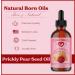 Natural Born Oils Prickly Pear Oil - Organic Cold-Pressed 4oz | Vitamins & Antioxidants for Skin & Hair Health - Buy Online on GoSupps.com