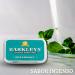 Barkley's Spearmint 50g - Refreshing Gourmet Mint Candy | International Shipping Available - Buy Online on GoSupps.com