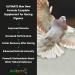 Aviform ULTIMATE Max NEW FORMULA Complete Supplement for Racing Pigeons 2500ml - Buy Online on GoSupps.com