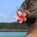 Large Flower Claw Clip Set - Cute Hawaiian Hair Accessories for Women and Girls | 4PCS Free Size Clips for Long, Thin, Thick Hair - Buy Online on GoSupps.com