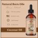 Organic Fractionated Coconut Oil 16oz - Cold-Pressed Carrier Oil for Deep Skin Care & Hair Health - Fast-Absorbing | Natural Born Oils - Buy Online on GoSupps.com