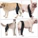 Abaodam Comfy Brace Dog Joint Paw Butter Balm for Dogs Pet Injury Knee Leg Sets Comfortable S As Shown - Buy Online on GoSupps.com