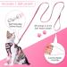 Breakproof Cat Dish Set with Adjustable Reflective Vest for Small Kittens - Pink XXS - Buy Online on GoSupps.com