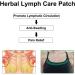 GreenHB Herbal Lymph Care Patch 10 Pcs - Neck Lymphatic Drainage Patch with Ginger Oil for Swelling & Pain Relief - Buy Online on GoSupps.com