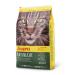 Josera Naturecat (1 x 10 kg) |Cereal-free cat food with poultry and salmon protein |Super premium dry food for adult cats 11 16 kilograms 1 -pack 10 kg (1 Series Pack) (1 x 10 kg)