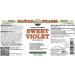 HawaiiPharm Sweet Violet Glycerite 2 fl.oz - Alcohol-Free Liquid Extract for Natural Herbal Supplement - Made in USA - Buy Online on GoSupps.com