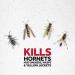 Raid Wasp and Hornet Killer Wasp Killer Spray for Home Use Kills Bugs on Contact Including Paper Wasps Yellow Jackets Mud Daubers and More 400 g (Pack of 1) - Buy Online on GoSupps.com