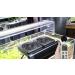 LONDAFISH Aquarium Chiller Cooling Fan for Fish Tank - Marine 2 Fan System - Buy Online on GoSupps.com