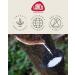 Buy Lanco Teething Ring Elephant Ears - 100% Natural Rubber White | Safe & Eco-Friendly | International Shipping Available - Buy Online on GoSupps.com