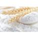 Bakers Street | Standard Quality No. 01 | White Flour 4Kg | For Bread and Bakery | Perfect for Bread Making - Buy Online on GoSupps.com