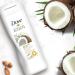 Dove Restoring Ritual Body Lotion 250ml - Buy 6 Pack | Intense Hydration | International Shipping - Buy Online on GoSupps.com
