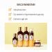 Buy SKINFOOD Royal Honey Essential Emulsion 160ml - Nourishing & Hydrating Concentrated Aged Honey for Dry Skin | International Shipping Available - Buy Online on GoSupps.com