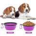 Coolon Collapsible Dog Bowl | Portable Dog & Cat Water Bowl | Foldable Medium 650ml with Carabiners - Purple - Buy Online on GoSupps.com