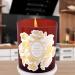 Cinnamon Ginger Blossom Candle - Soy Wax Aromatherapy Candle | Warm Winter & Fall Scent - Natural Wood Wick | Perfect Relaxing Gift for Women & Men - Buy Online on GoSupps.com