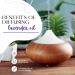 French Lavender Essential Oil 100% Pure 8 fl oz (237 ml) Aluminum Bottle Aromatherapy & Wellness | GreenHealth - Buy Online on GoSupps.com