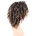 Dreadlock Wigs for Black Women and Men | Short Braided Afro Wig | Synthetic Twist Faux Locs | T1B/27 Color - Buy Online on GoSupps.com