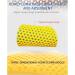 CSCDD Memory Foam Insoles - Breathable Deodorant Cushion for Shoes | Orthopedic Support & Comfort (Medium D - Buy Online on GoSupps.com