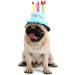 Cute Birthday Cake Hat for Pets with 5 Color Candles - Blue - Buy Online on GoSupps.com