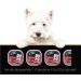 CESAR Adult Wet Dog Food Classic Loaf in Sauce Entr es - Filet Mignon 100g Tray (24 Pack) Filet Mignon 100 g (Pack of 24) - Buy Online on GoSupps.com