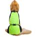 Ranphy Waterproof Dog Rain Coat for Medium & Large Dogs - Reflective Breathable Ultra-Light Jacket with Abdominal Protection - Perfect for Dachshunds & Labradors (9XL Green & Black) - Buy Online on GoSupps.com