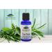 100% Pure Tea Tree Essential Oil - Melaleuca Alternifolia - Kosher - 1 fl oz - International Shipping - Buy Online on GoSupps.com