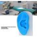 Flexible Silicone Ear Model for Hearing Amplifier Display - Professional Student Tool - Buy Online on GoSupps.com