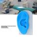 Silicone Ear Model - Transparent and Blue - Flexible for Piercing Practice - Buy Online on GoSupps.com