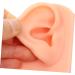 Baluue Silicone Simulation Ear Model for Jewelry Practice and Display - Khaki Prosthesis Earring Display - Buy Online on GoSupps.com