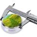Grassland Paths Round Pill Box - 3 Compartment Portable Organizer for Travel & Daily Use - Buy Online on GoSupps.com