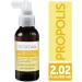 VITAT Propolis Throat Spray with Honey and Herbs 2.02 Fl Oz - Immune Support - Natural Ingredients - Additive Free - 1 Pack - Buy Online on GoSupps.com