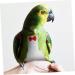 Buy PopetPop Flying Bird Diapers - Stylish Sittich-Outfit Bowknots for Parrots & Pigeons | High-Quality Cotton Bird Clothing 22x12cm - Buy Online on GoSupps.com