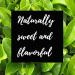 Shangri-La Tea Company Iced Tropical Passion Decaf - Unsweetened, All Natural (6x1/2 oz Pouches) - Buy Online on GoSupps.com